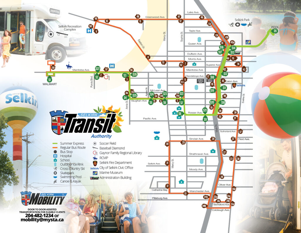 map of selkirk transit summer and regular route